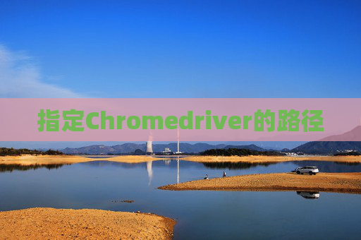 指定Chromedriver的路径
